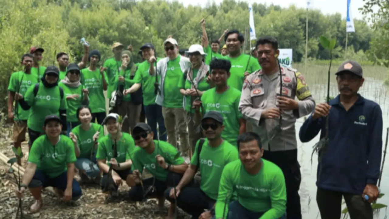 Aksi Nyata CCB Indonesia Tanam Ribuan Mangrove di Muaragembong