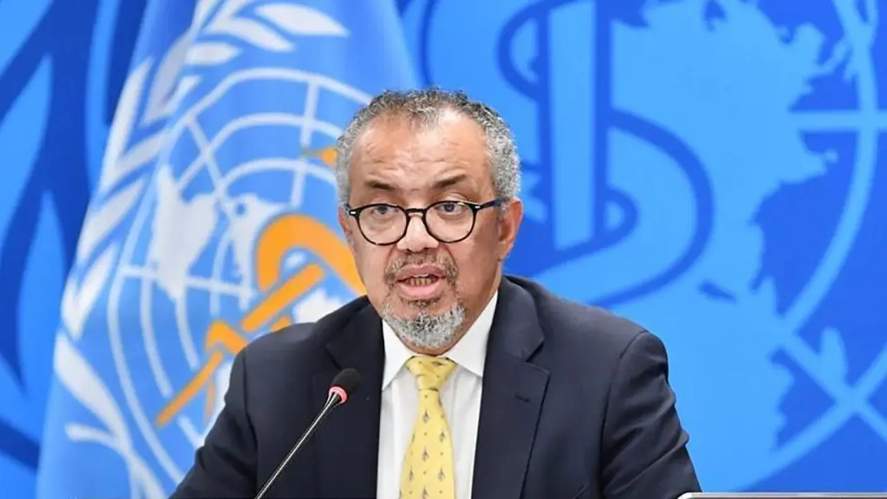 WHO Selidiki Kasus Infeksi Virus Shamonda Pertama pada Manusia di Prancis WHO Selidiki Kasus Infeksi Virus Shamonda Pertama pada Manusia di Prancis