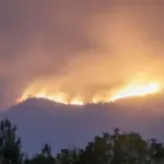 Kawasan Gunung Arjuno-Welirang Kembali Dilalap Si Jago Merah
