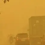 Warganet Ramai Pasang Foto Profil Berkabut Demi Suarakan Karhutla, Begini Cara Buatnya