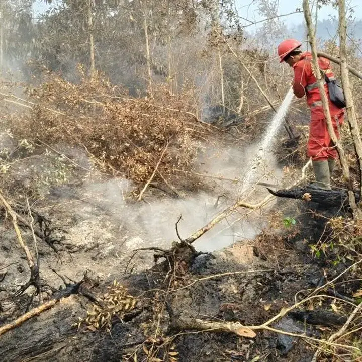 Komnas HAM Soroti Dampak Karhutla Terhadap Kesehatan dan Pendidikan, Desak Pemulihan Korban Serta Lingkungan