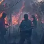Kebakaran Way Kambas Belum Padam, BNPB Kerahkan Helikopter dan Tim Gabungan
