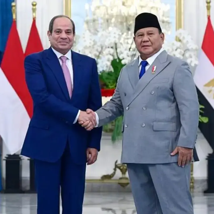 Indonesia dan Mesir Jajaki Pembentukan Joint Investment Fund