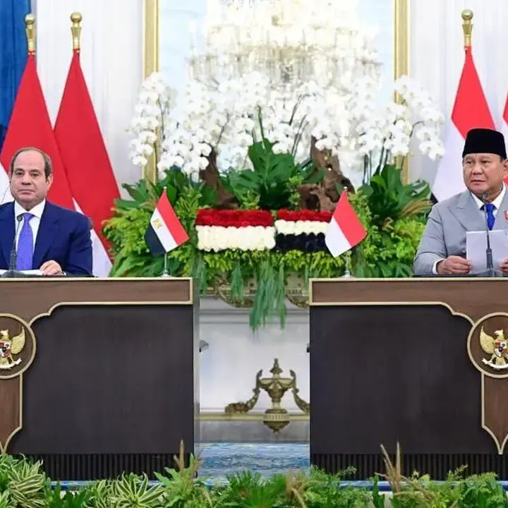 Prabowo Perluas Kerja Sama Pendidikan dengan Mesir, Ada Beasiswa Kedokteran dan Teknik