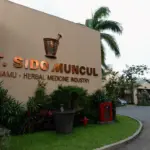 Sido Muncul (SIDO) Siap Bagikan Dividen Interim Rp300 Miliar, Cek Jadwalnya
